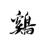 鸡