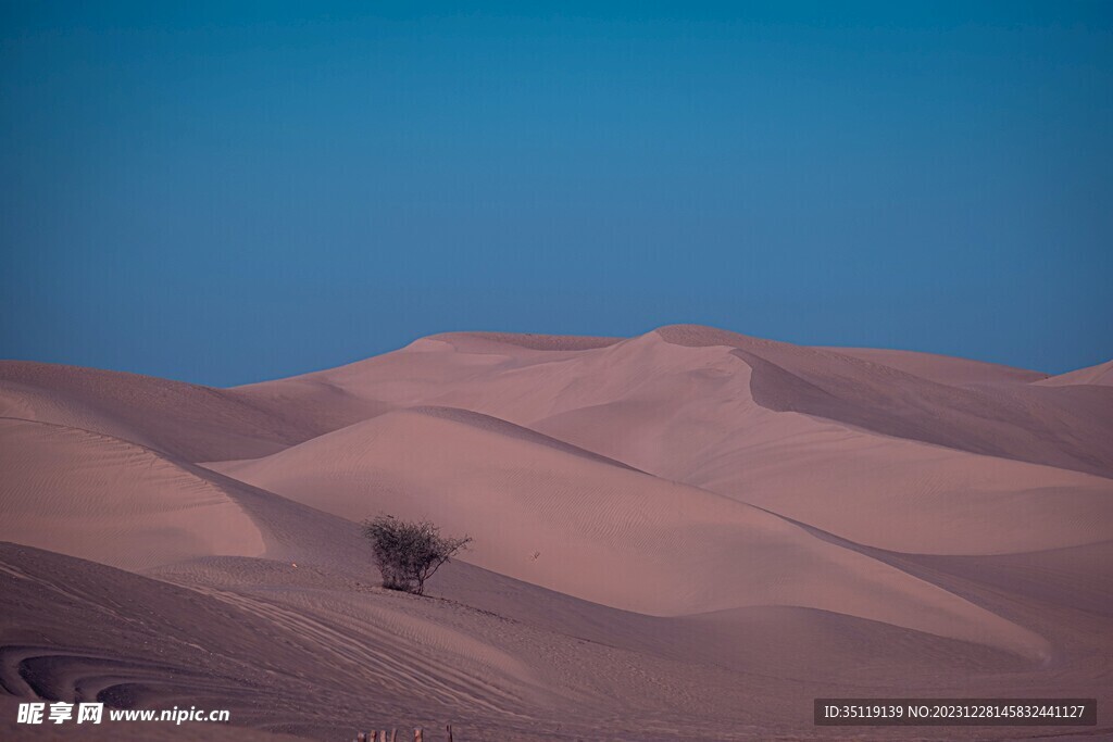 沙漠风景