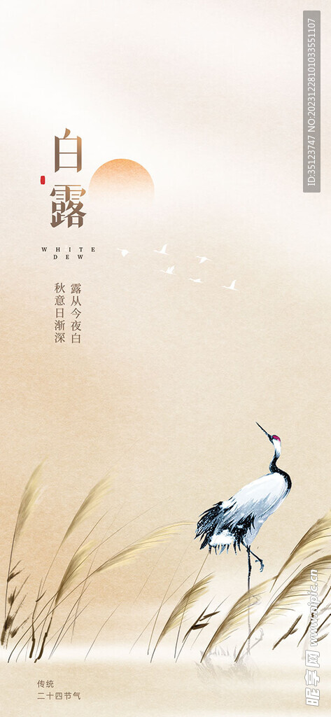 芦苇白露节气手机海报