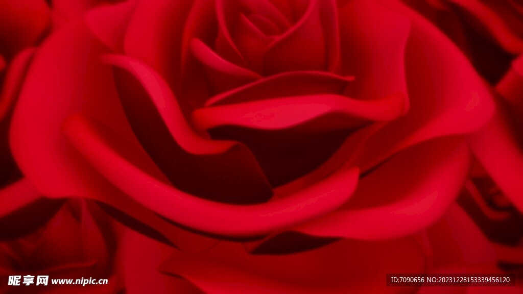 浪漫唯美红玫瑰背景