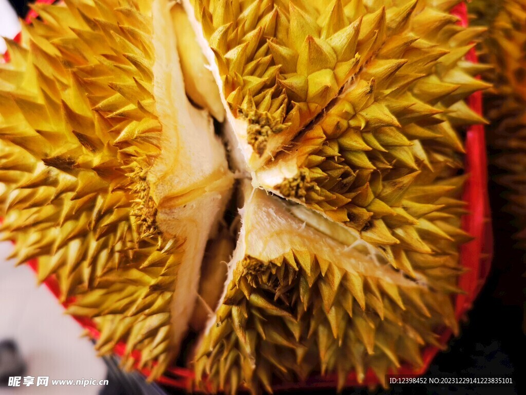 榴莲