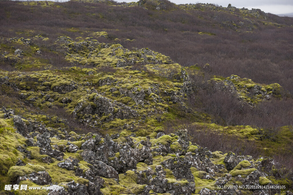 青苔山丘图片