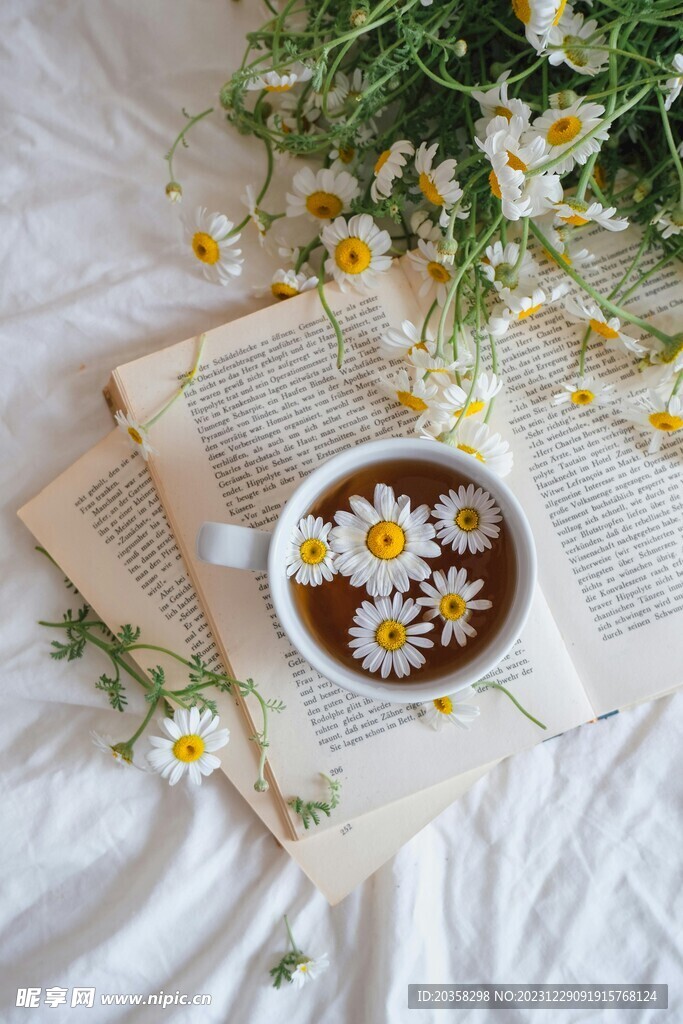 菊花茶
