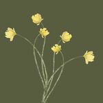 小花