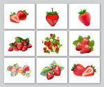 草莓素材PNG