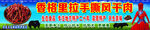 小黄牛手撕干巴