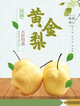 黄金梨