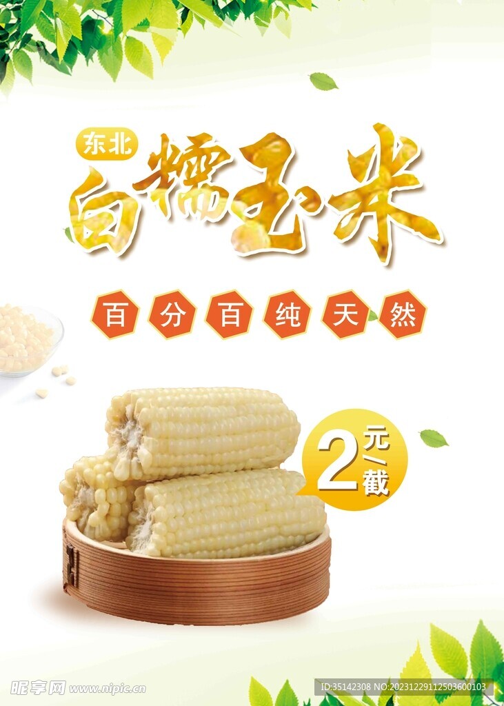 东北白糯玉米