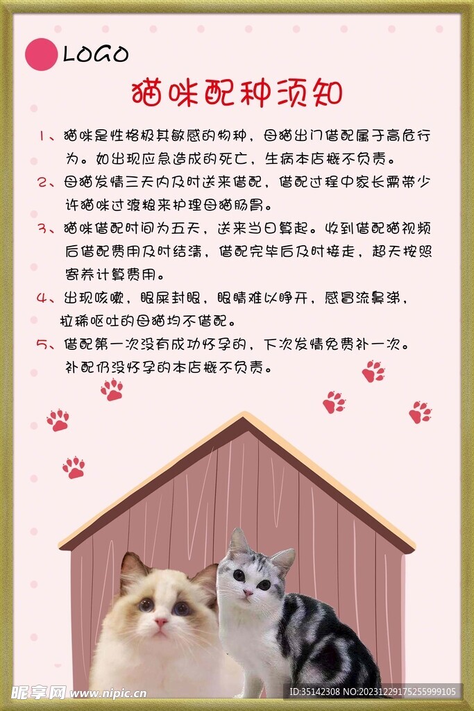 猫咪配种