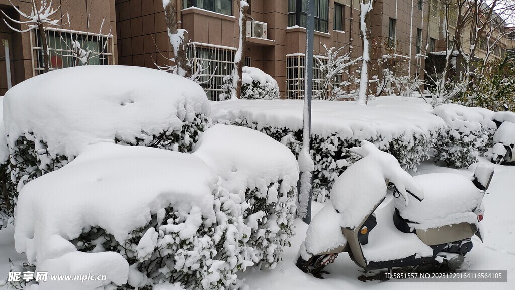 雪