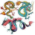 龙