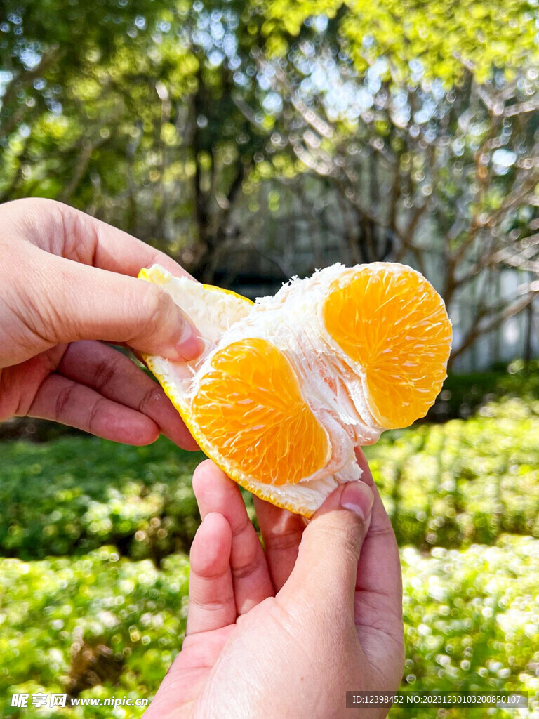 橘子