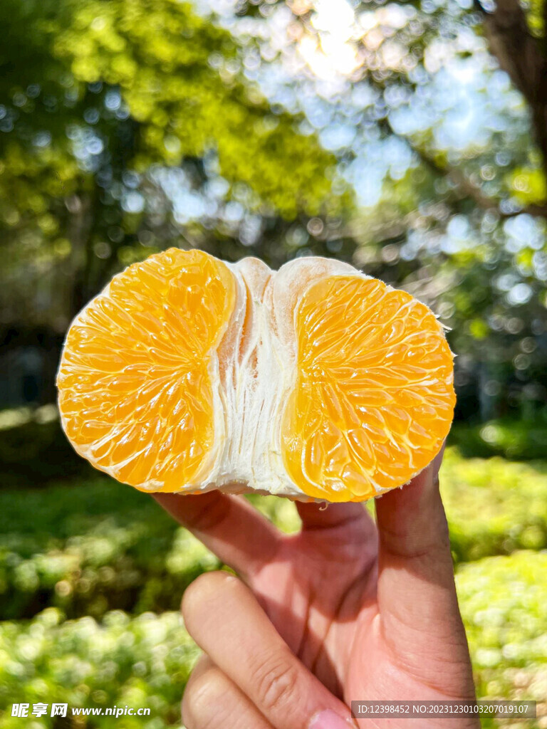 橘子