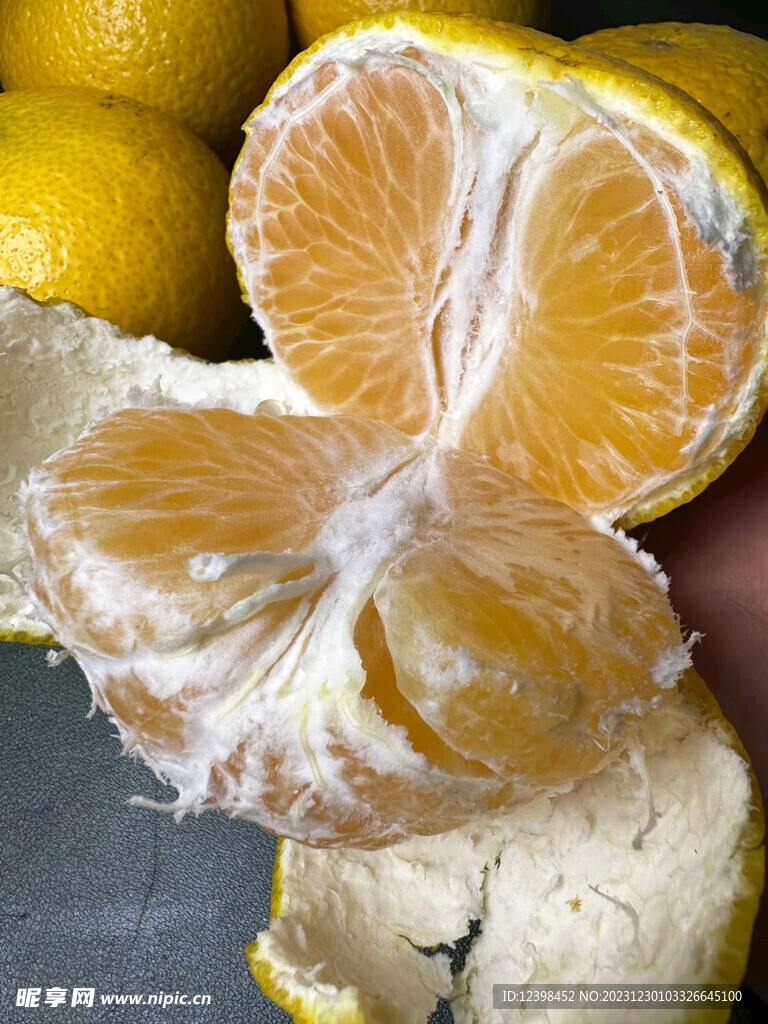 柑橘