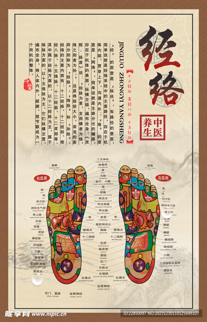 足经络图