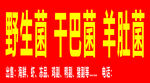 野生菌 干巴菌 羊肚菌