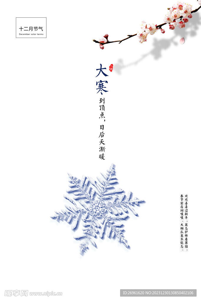 大寒海报