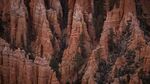 山
