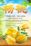 杨桃
