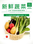 新鲜蔬菜