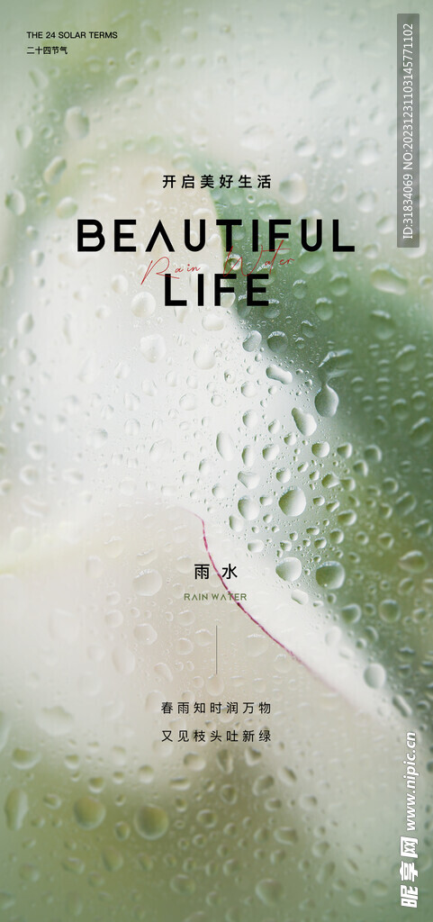 雨水