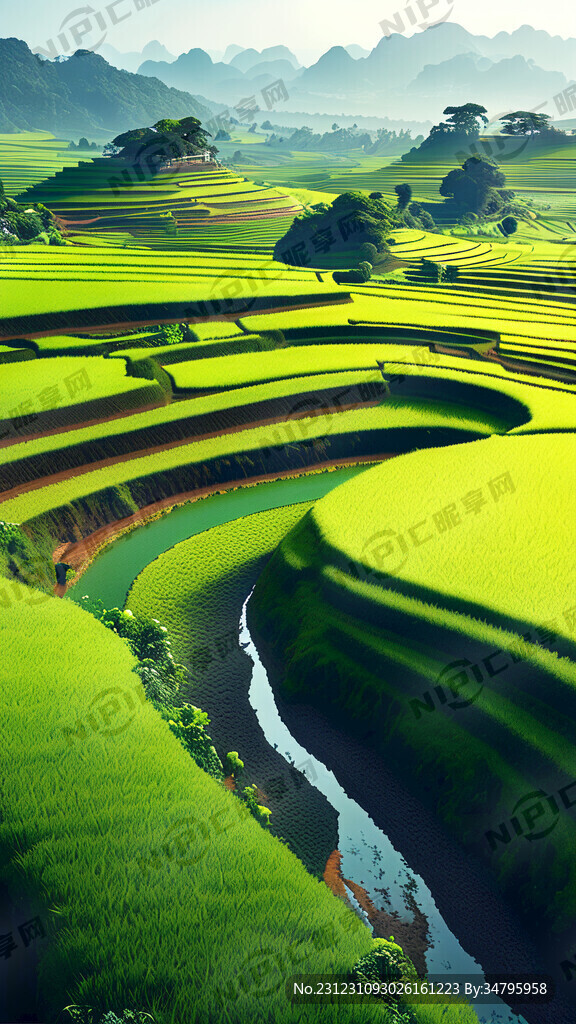 花开富贵