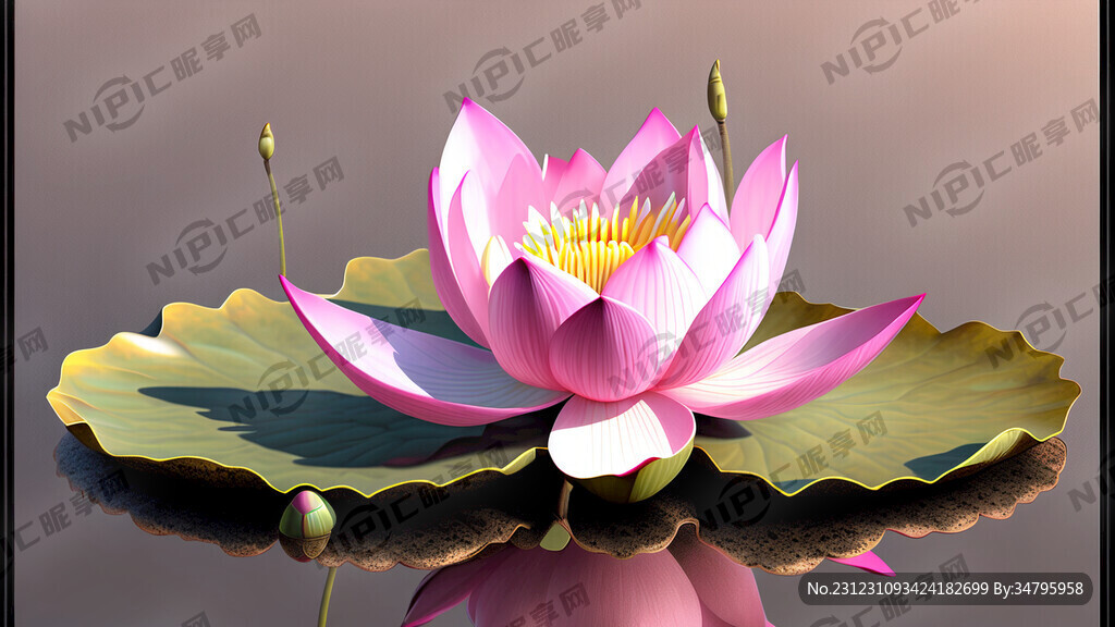 莲花