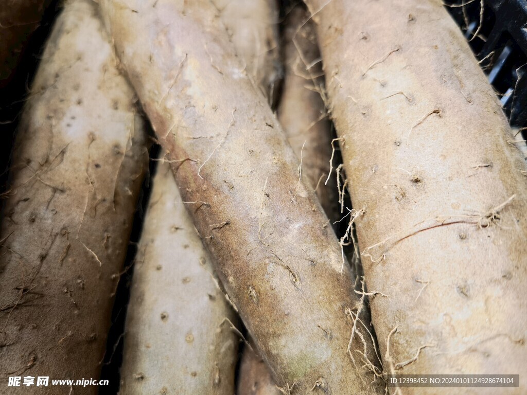 山药