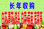 收购蔬菜