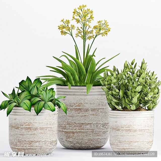 C4D模型 绿色植物