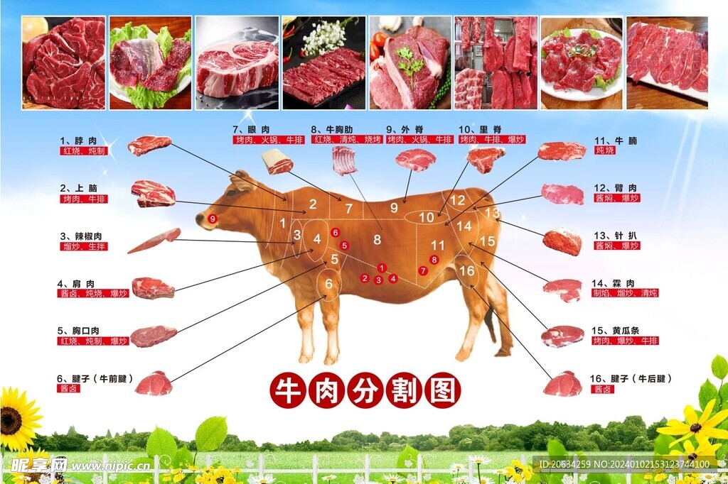 牛肉分解图