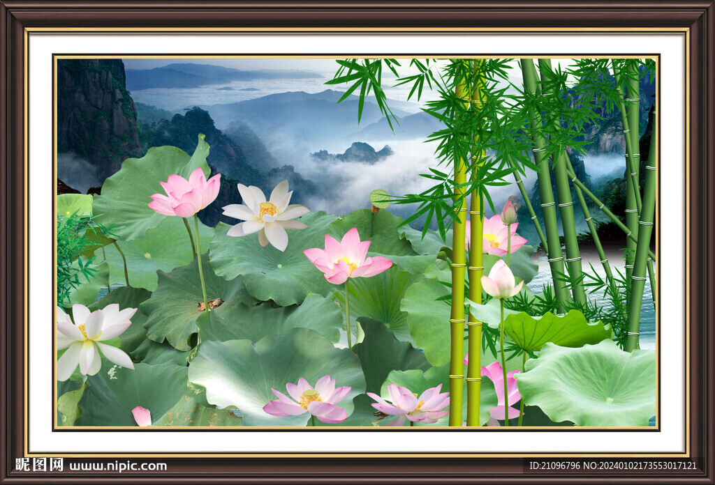 荷花 