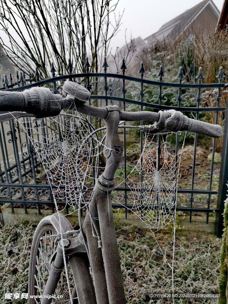 自行车