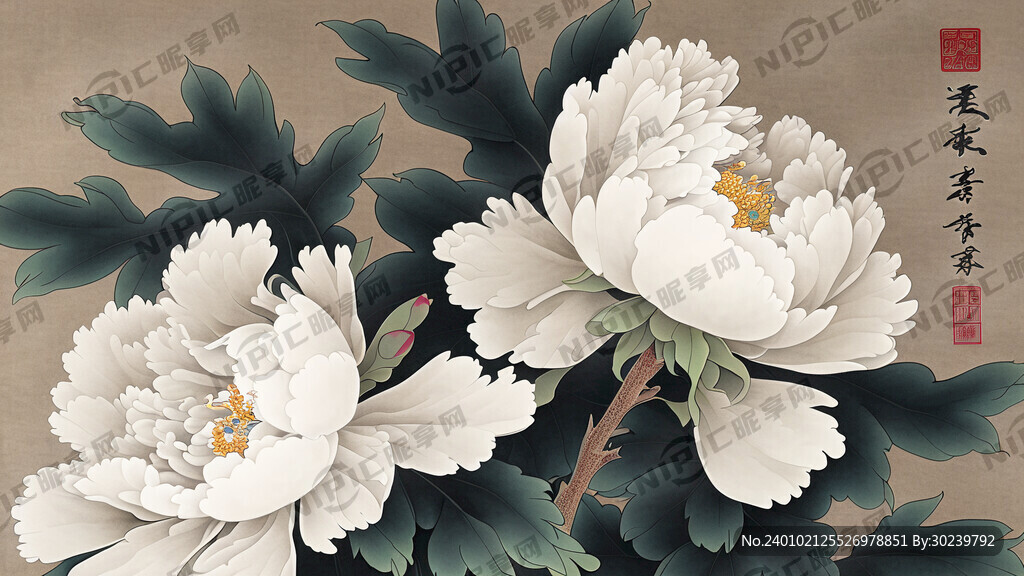 工笔画 牡丹 花开富贵