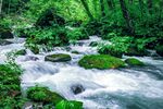 山涧溪水图片