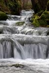山涧溪水图片