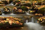 山涧溪水图片