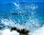 海浪波浪图片