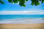 沙滩 海湾 风景图片
