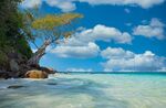 沙滩 海湾 风景图片