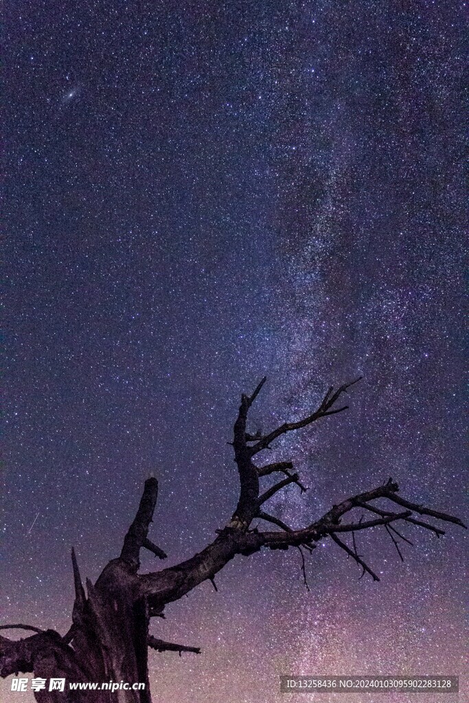 野外星空