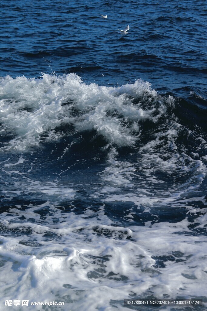 海浪