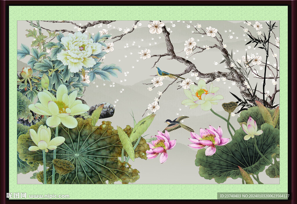 荷花 