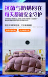 白鸭绒