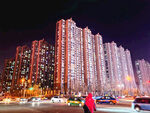 都市夜景