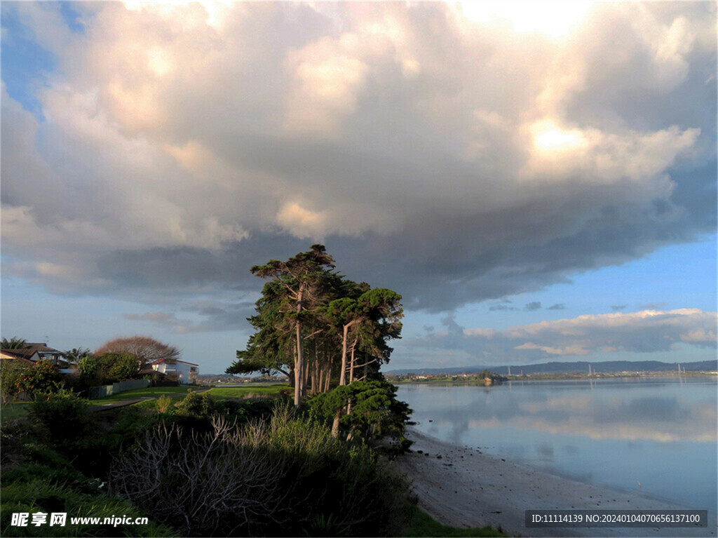 奥克兰海滨风景