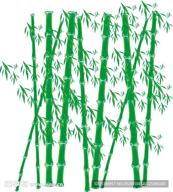 矢量竹子竹林