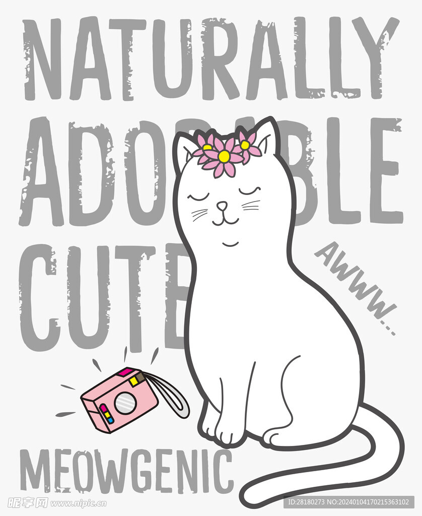 可爱的小猫 