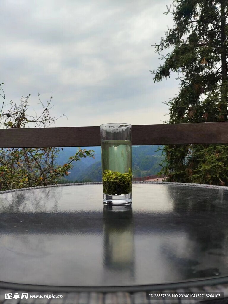 保靖黄金茶