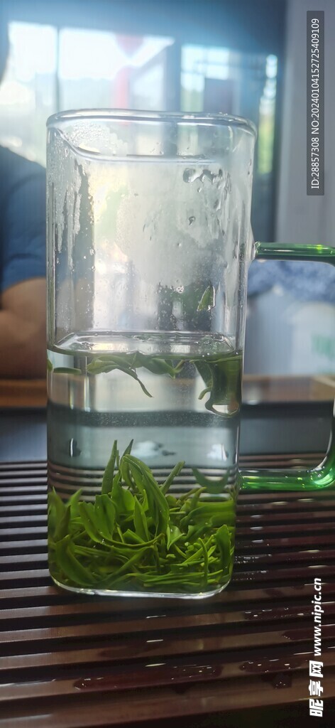 保靖黄金茶2号